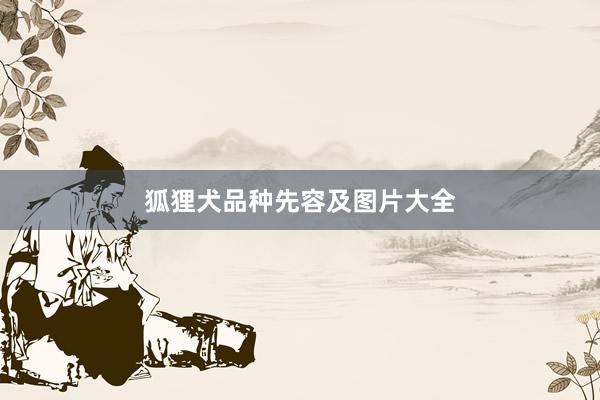 狐狸犬品种先容及图片大全