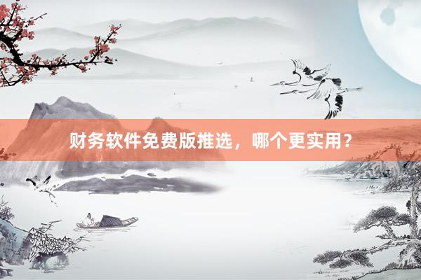 财务软件免费版推选，哪个更实用？